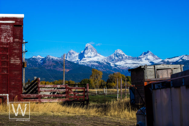 westonschindler-fine-art-tetonia-tetons-barn-2