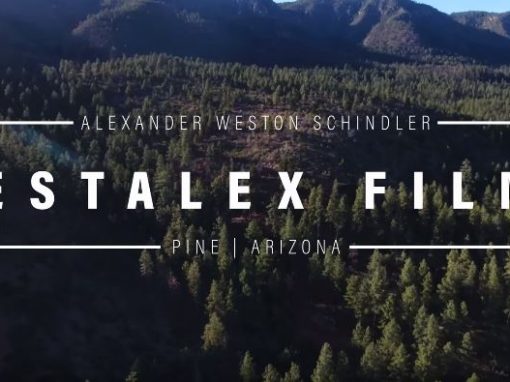 Pine Arizona | Drone Cinematic