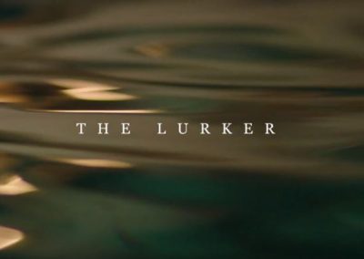 The Lurker