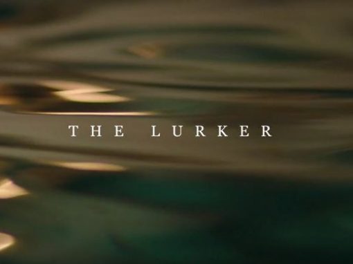 The Lurker